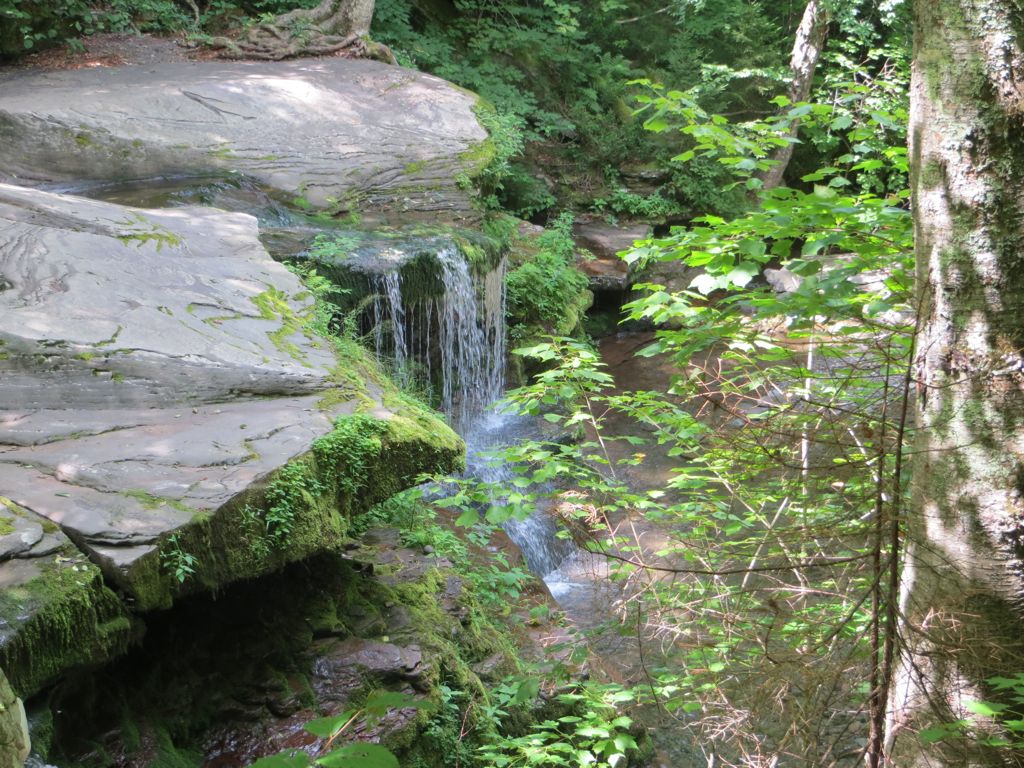 Above West Kill Falls