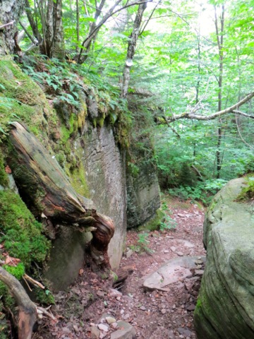 Trail down toward Spruceton Rd.